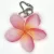 Hawaiian Flowers 2