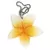 Hawaiian Flowers 3